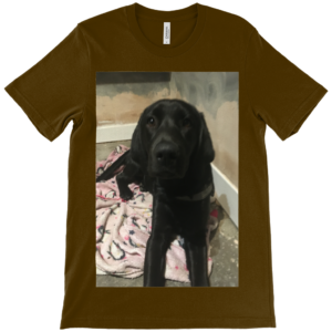 personalised pet dog t shirts