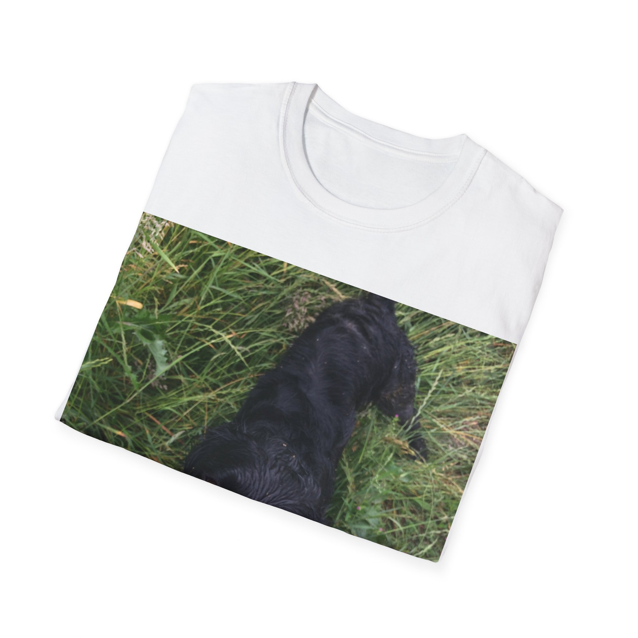 Unisex Softstyle T-Shirt - Image 4