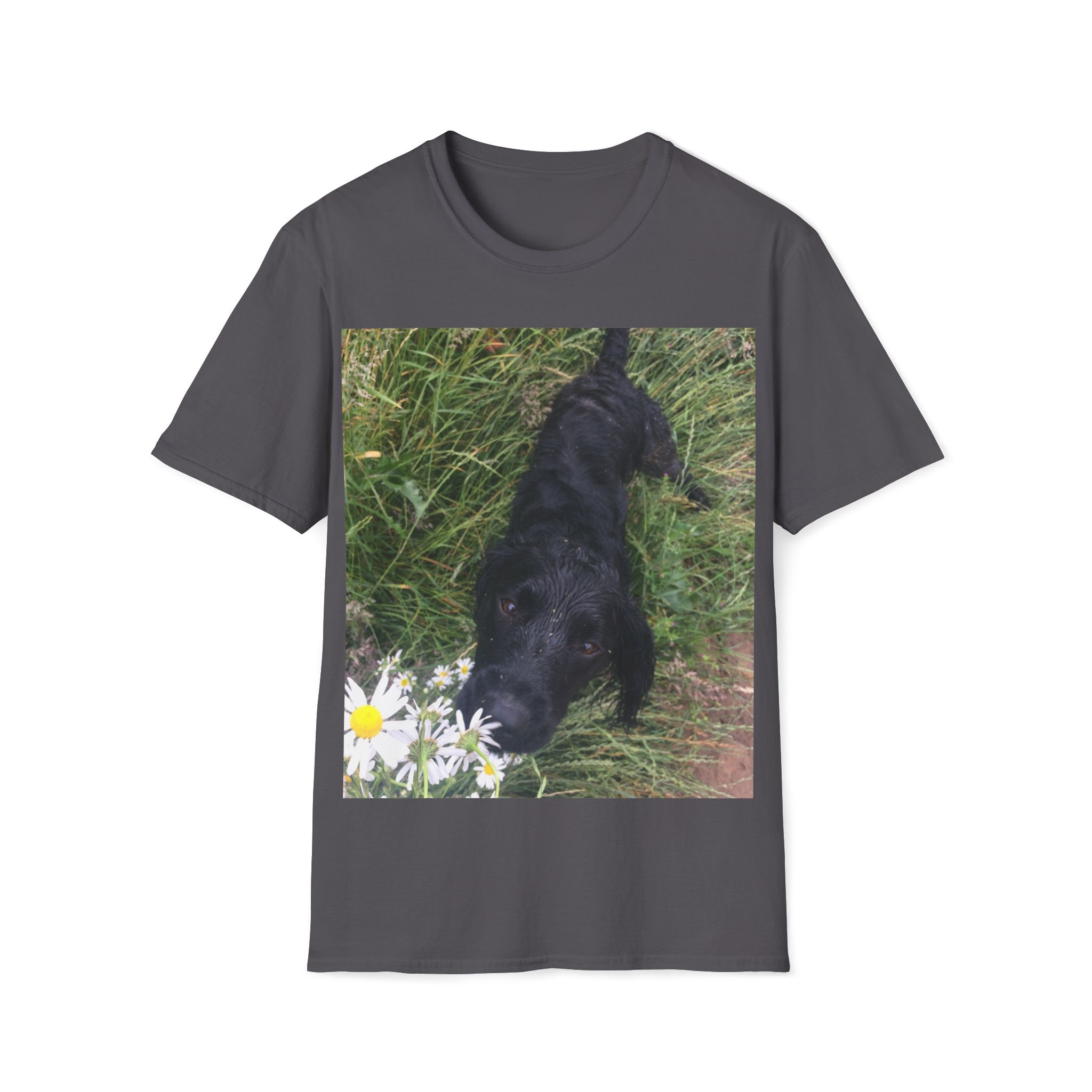 Unisex Softstyle T-Shirt - Image 13