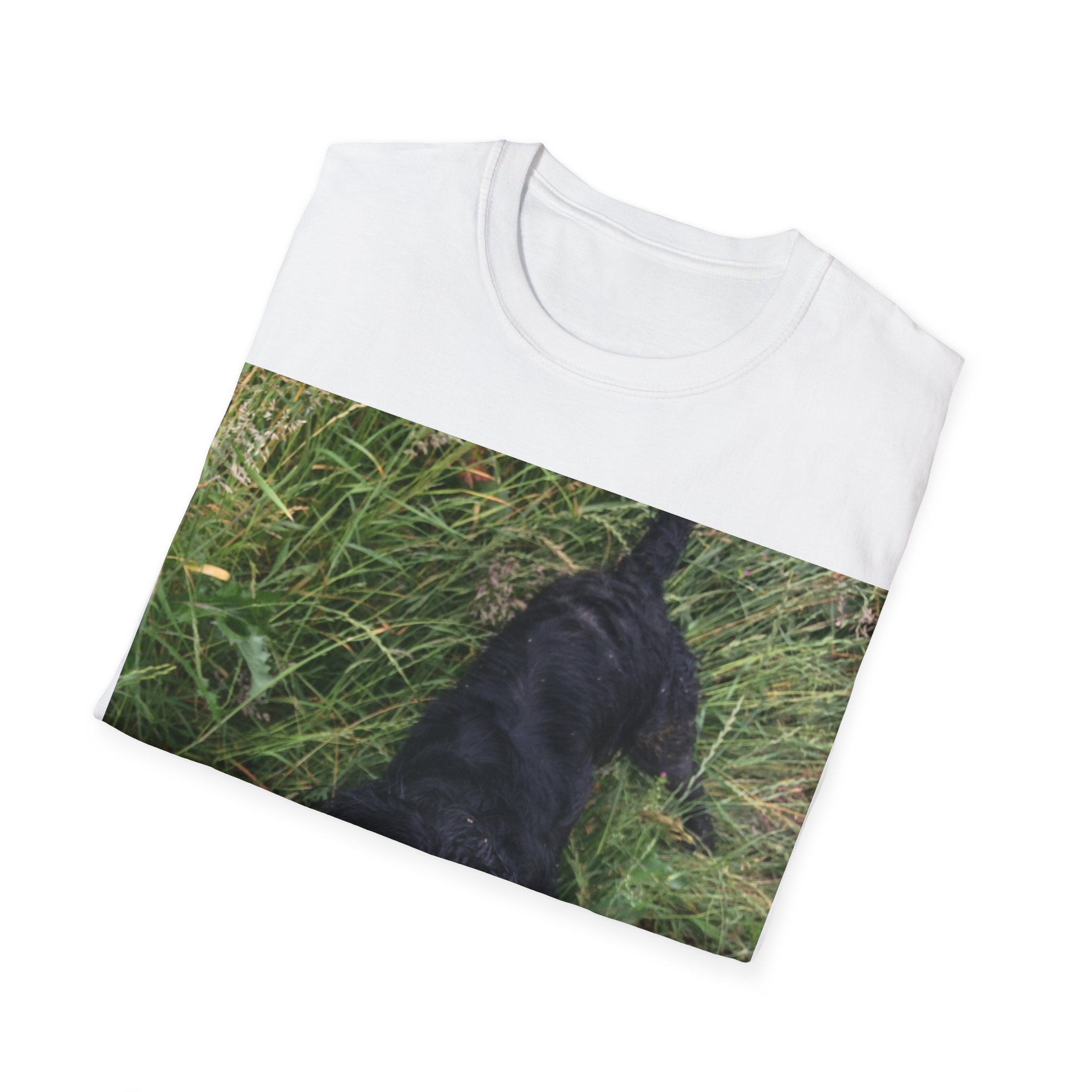 Unisex Softstyle T-Shirt - Image 4